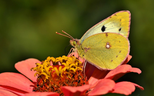 1755547 (a): :1920x1200